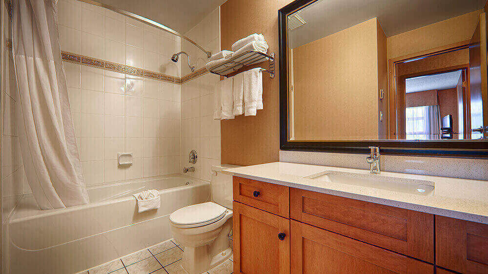 executive-bathroom-with-shower