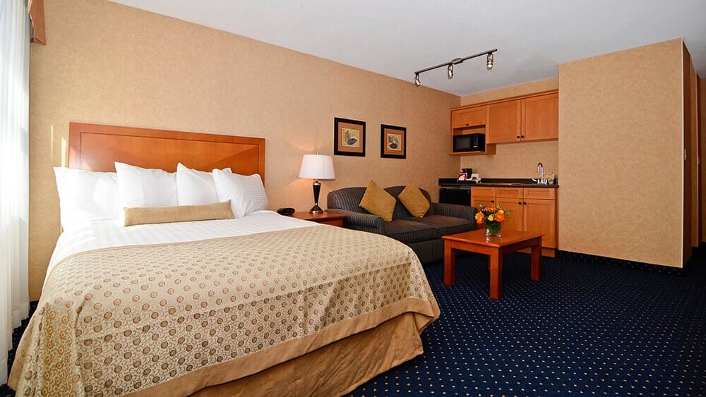 Hotel-room-queen-bed